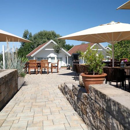 Ferienwohnung Seestern Fuer 6 Personen Mit Kamin & Terrasse بولتينهاجين المظهر الخارجي الصورة